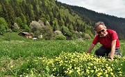 59 Fiori gialli. di viola gialla (viola biflora)..